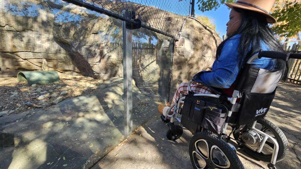 Ms. Wheelchair America looks at lemurs at the Sedgwick County Zoo