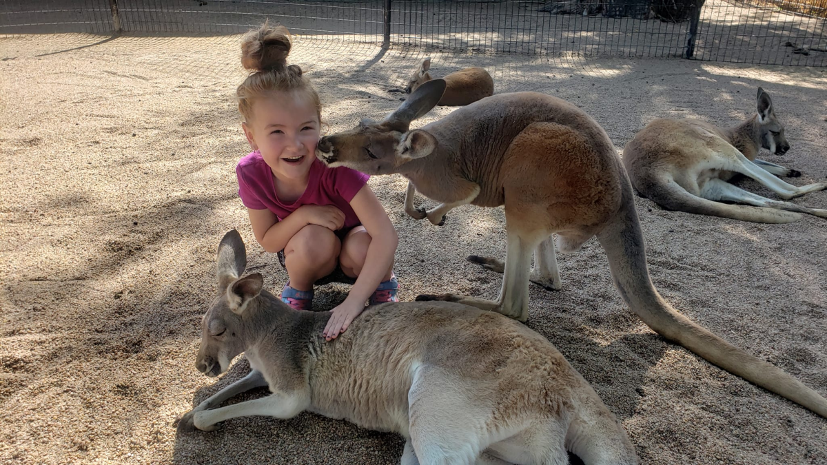 A young girl smiles as a kangaroo sniffs her face at Tangayika Wildlife Park