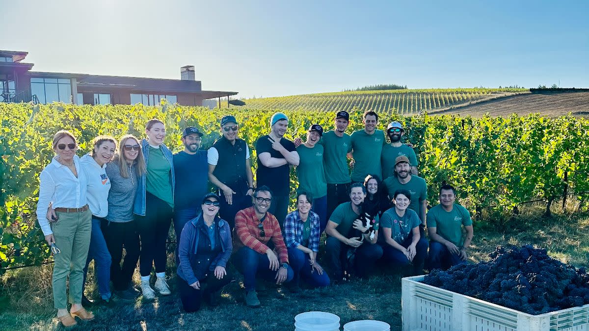 Ponzi Vineyards Harvest Crew & Interns