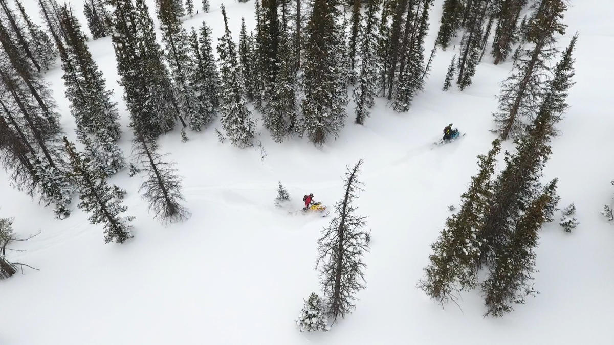 Overhead view of snowmobiling in forest