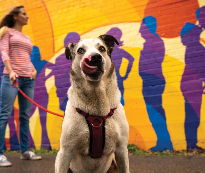 Woman and dog infront of outdoor mural