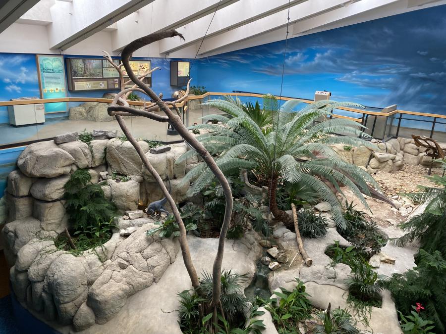 New Mexico Museum of Natural History and Science