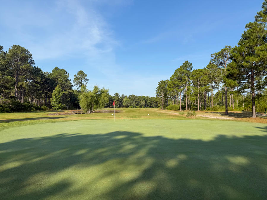 a golf course green with a red flag