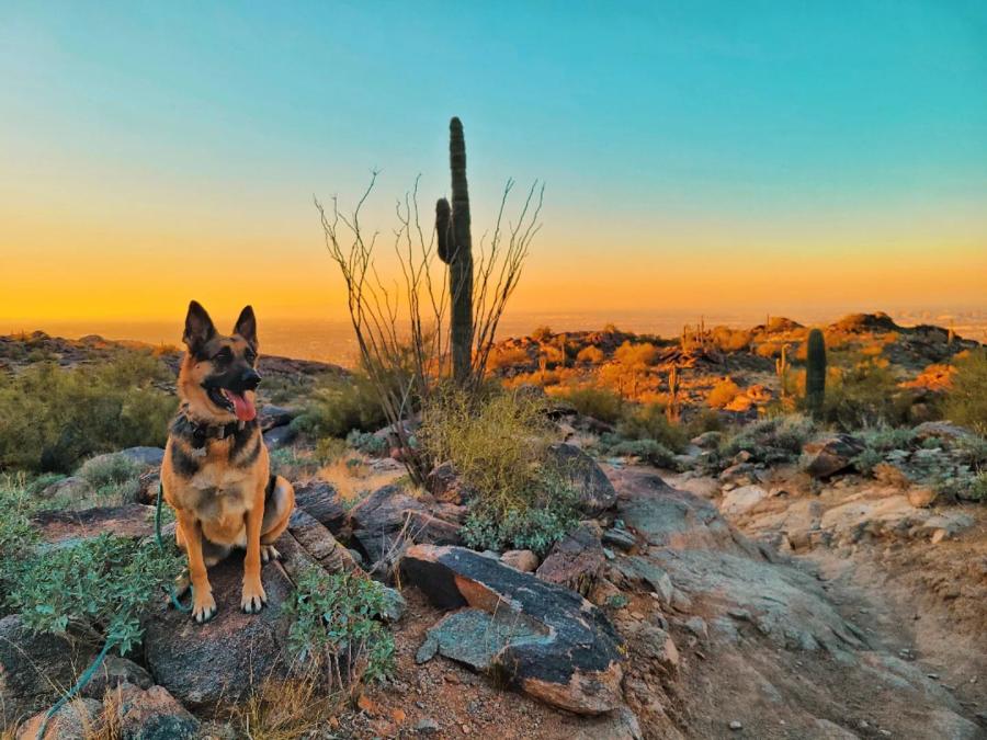 Hiking at South Mountain