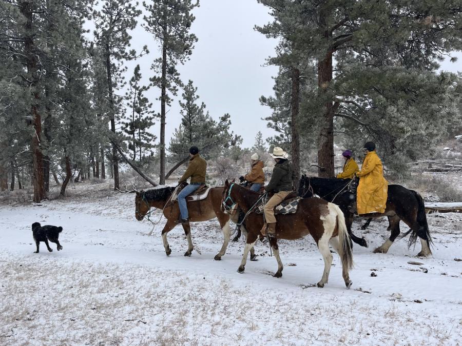 Five people riding horses over snowy ground with a dog leading the way