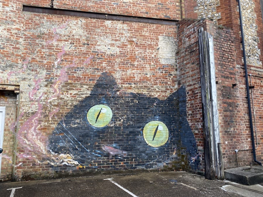 Chichester Street Art of Cat