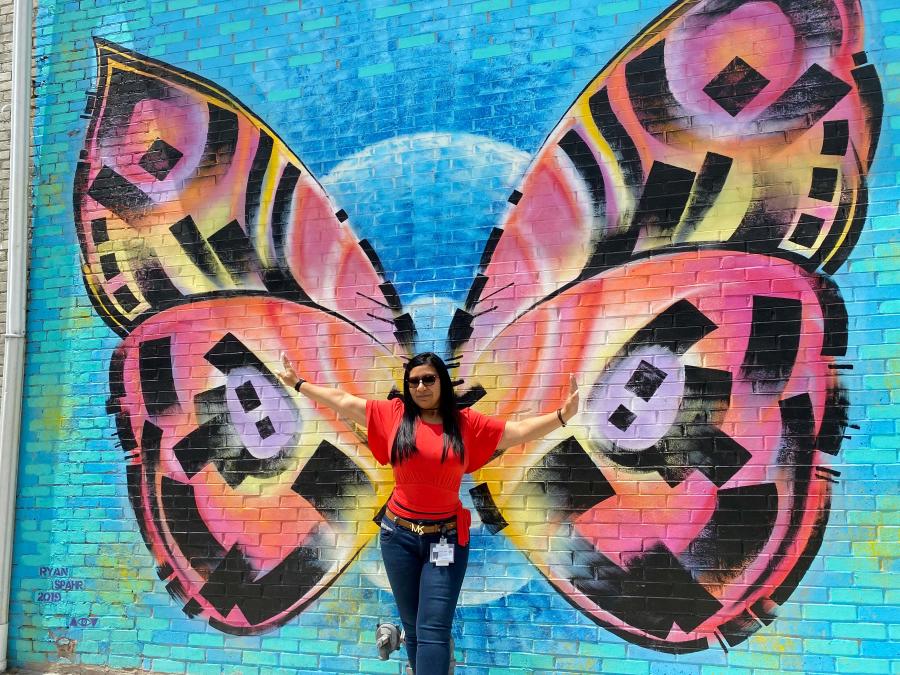 Butterfly Mural