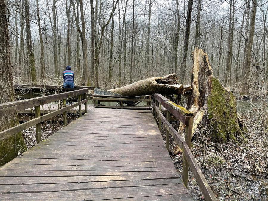 Beaverdam Boardwalk