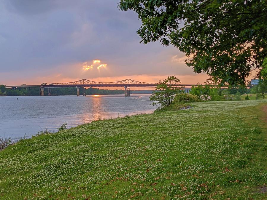 Ditto Landing Bridge by Jenn Coleman of Coleman Concierge