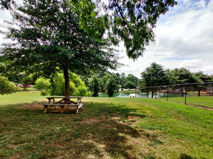 Dublin Park Picnic Table