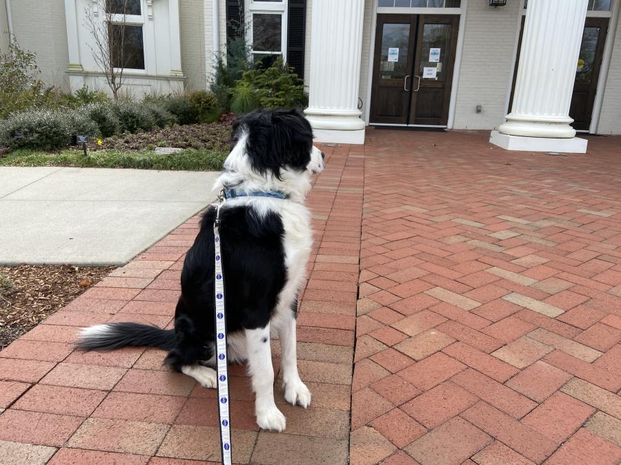 Huntsville Botanical Garden Dog Days