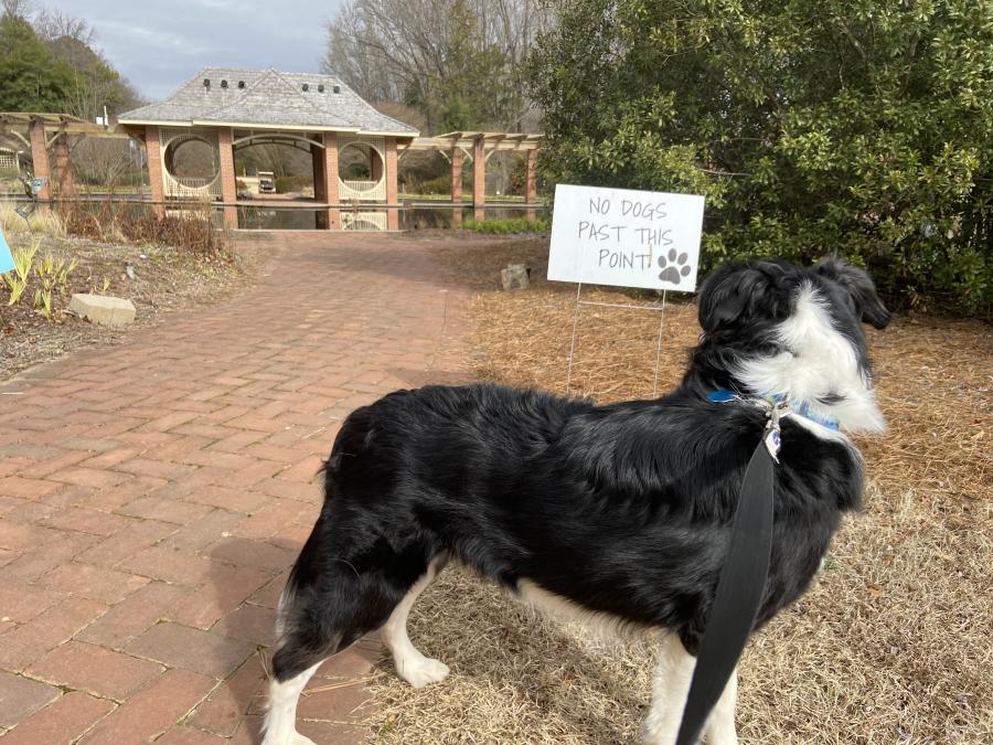 Huntsville Botanical Garden Dog Days