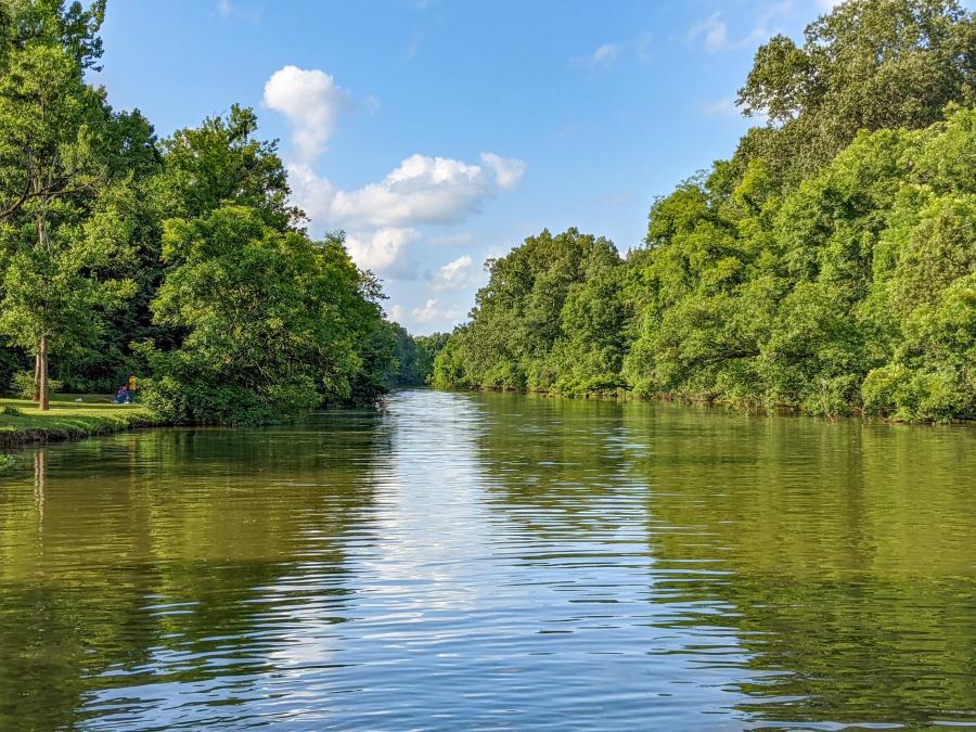 Indian River Creek by Jenn Coleman of Coleman Concierge kayak