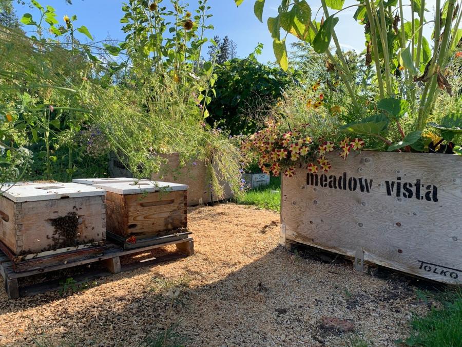 Meadow Vista Honey Wines