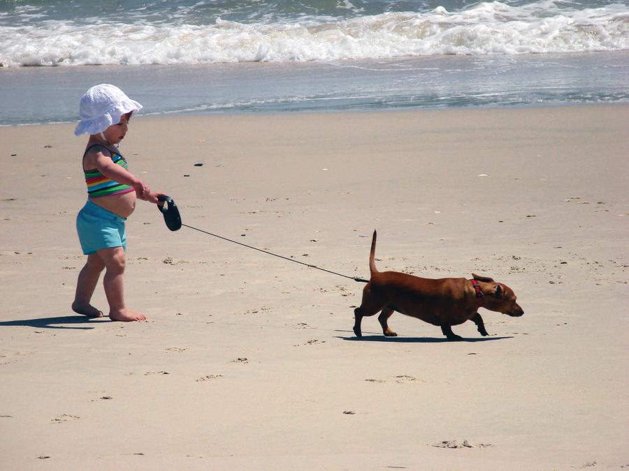 A kid walking her dog on the Beach
