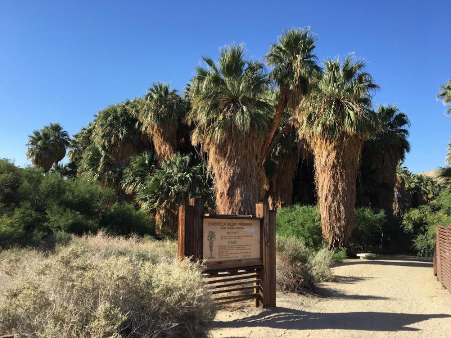 Entrance to the Coachella Valley Preserve