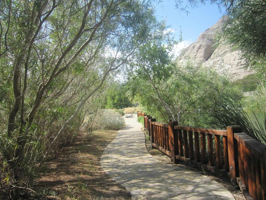 Walking trail at Whitewater Preserve
