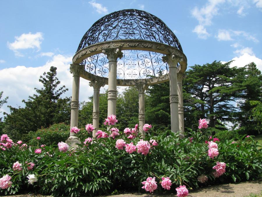 Maymont Victorian Gazebo with Peonies in May Spring