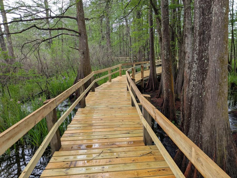 Boardwalk