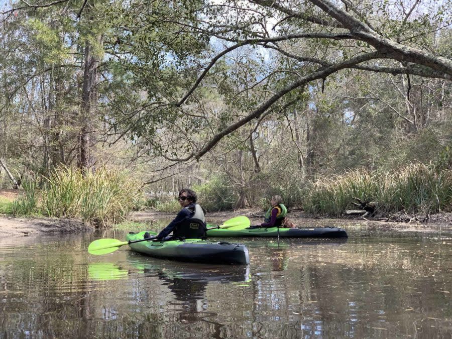 Blog Post Only Kayaking Bayou Adventure