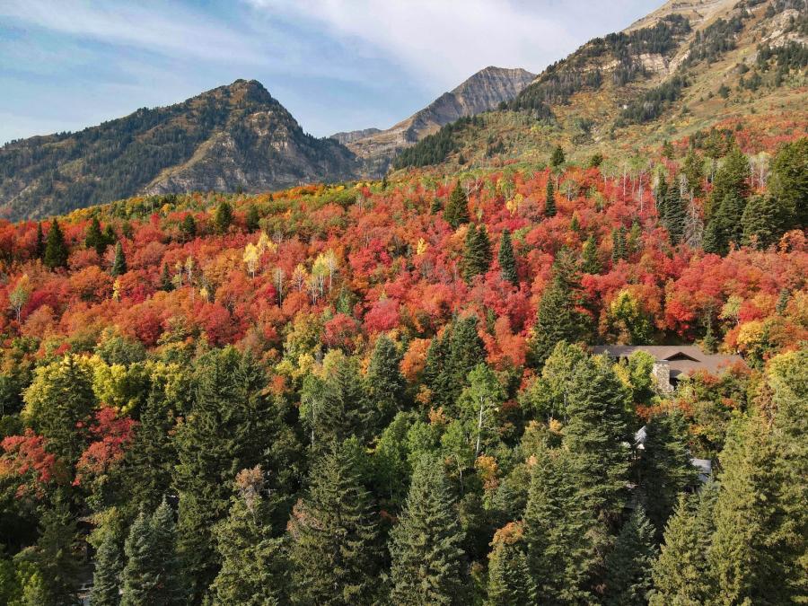 Alpine Loop in Fall Time