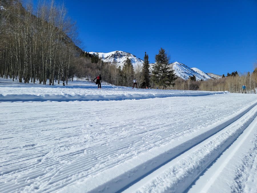 Skate Skiing Trail