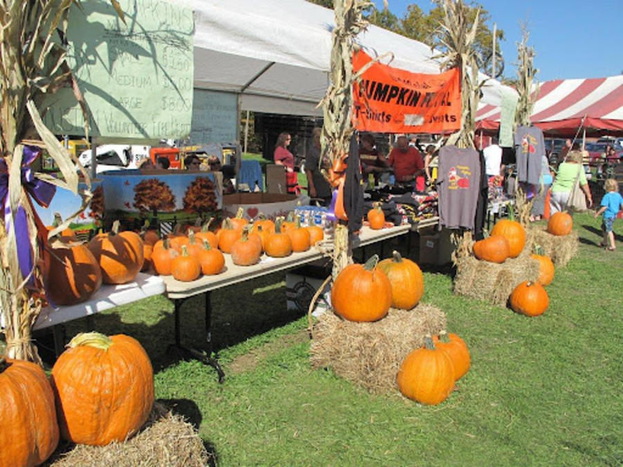 Houston Pumpkin Festival