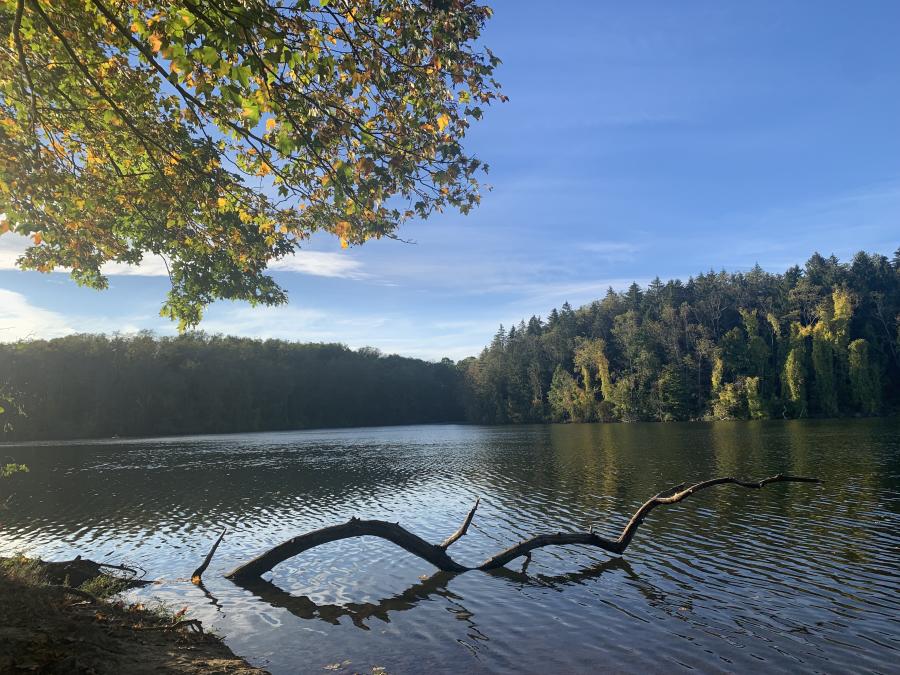 Peters Lake Park