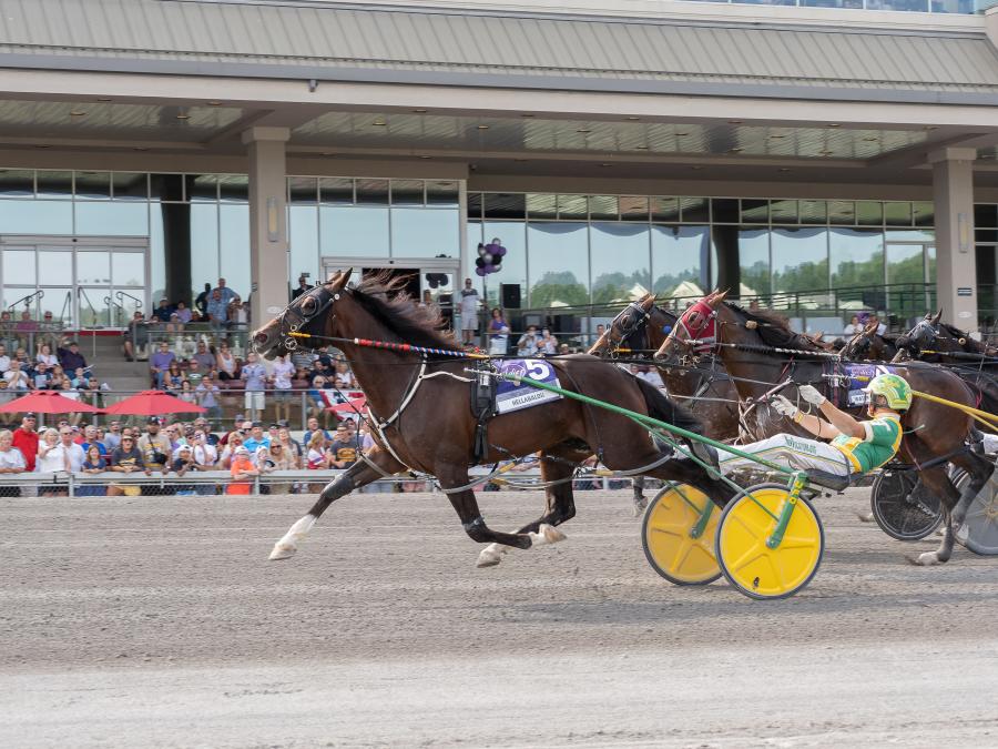 Hollywood Casino at The Meadows - Harness Racing