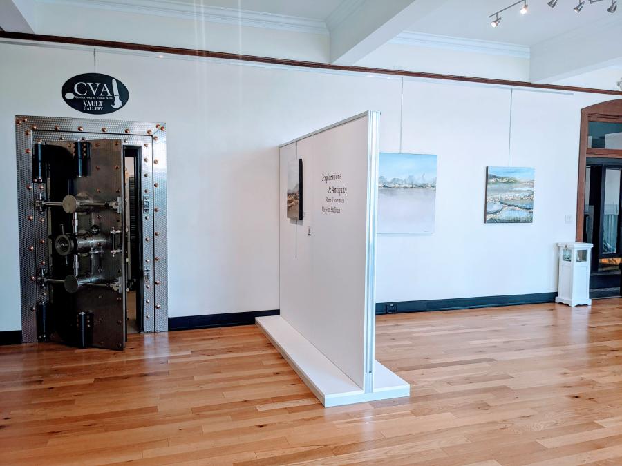 Center for the Visual Arts