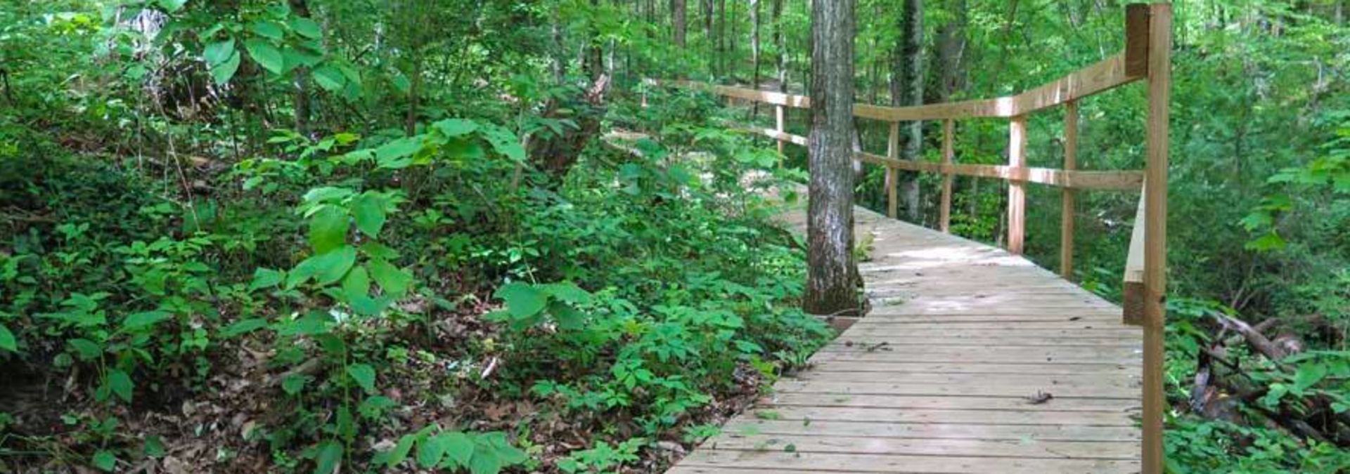 William Hastie Natural Area Knoxville S Urban Wilderness William Hastie Natural Area Knoxville S Urban Wilderness