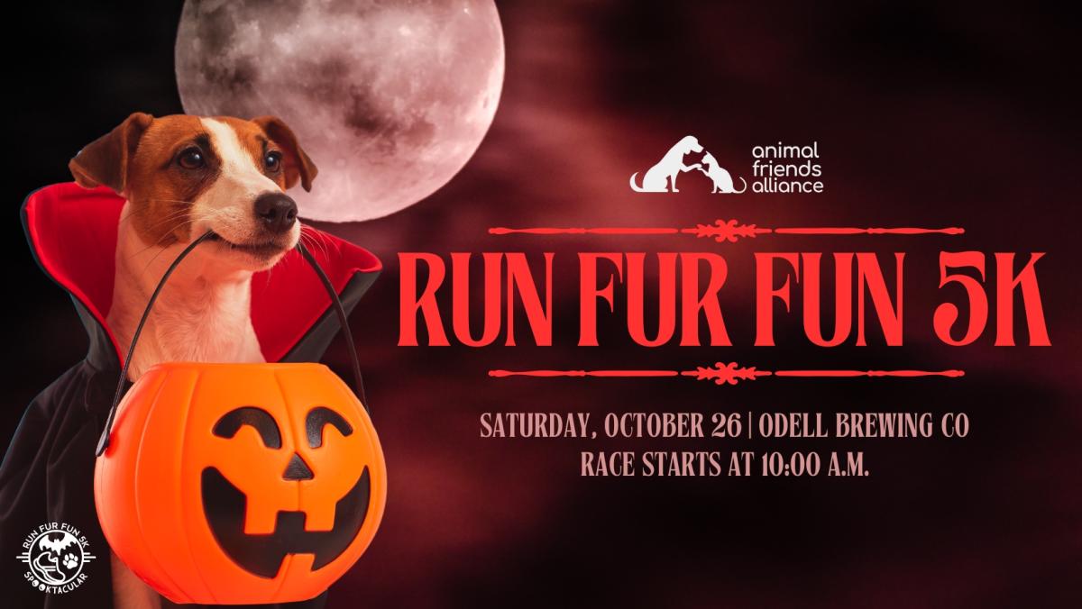 Flyer with dog holding a trick or treat pumpkin in his mouth. It says Animal Friends Alliance. Run Fur Fun 5k. Saturday October 26 at Odell Brewing Co. Race starts at 10am