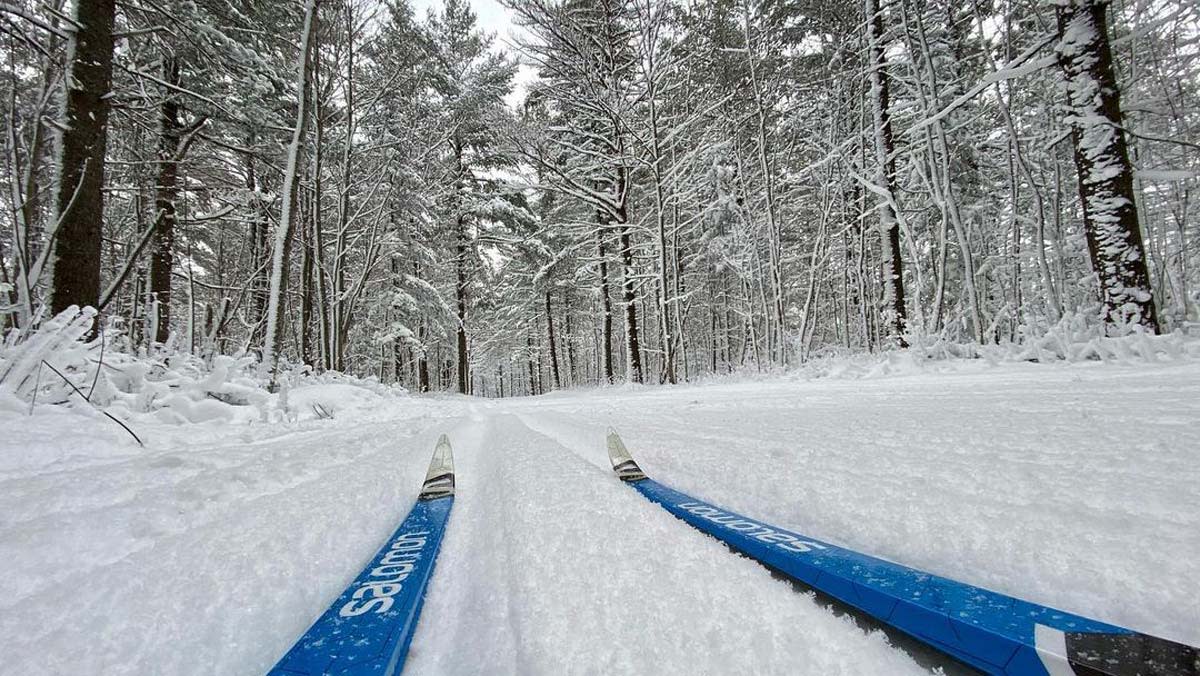 Cross Country Skis