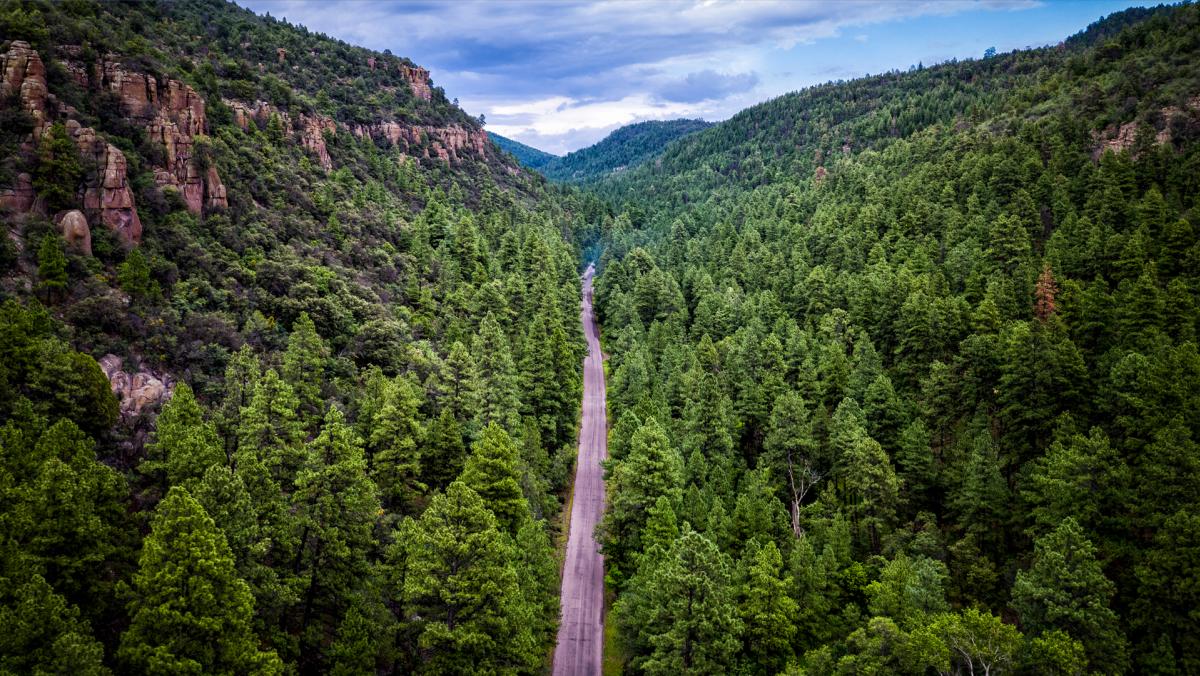 NM 15 in the Gila National Forest