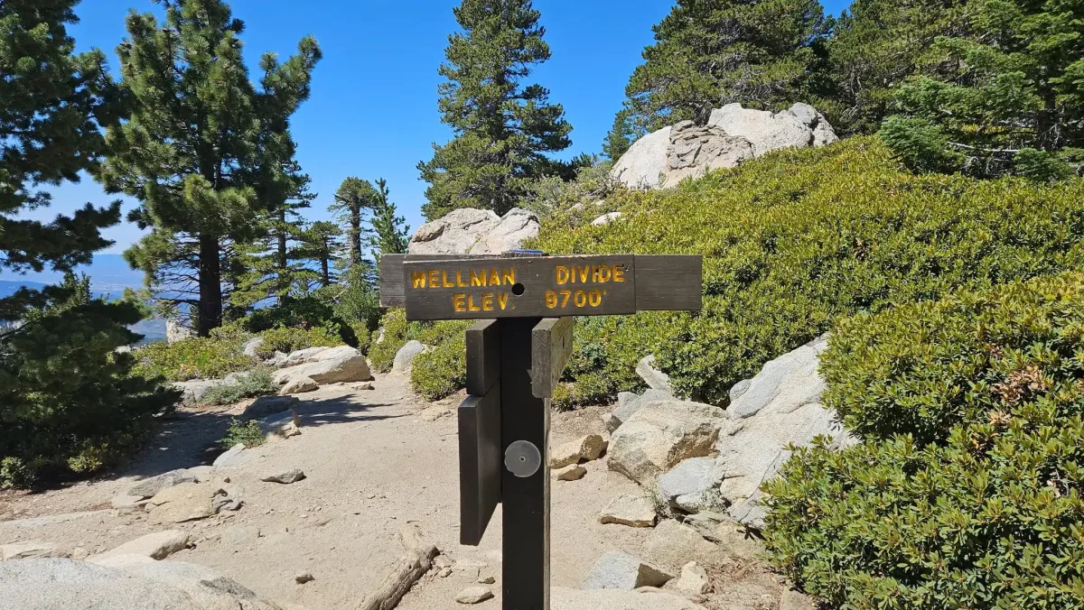A wooden signpost reading "Wellman Divide ELEV 9700'" on a hiking trail surrounded by green shrubs and pine trees against a clear blue sky.