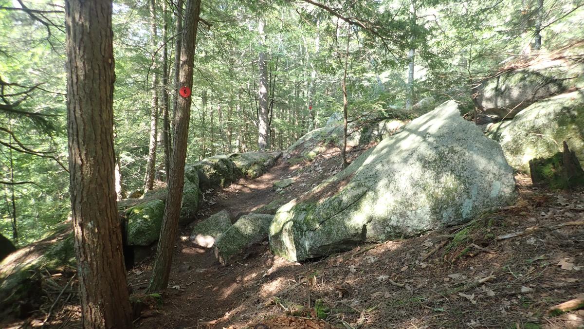 Bartonville Mountain (Hiking Highlight)