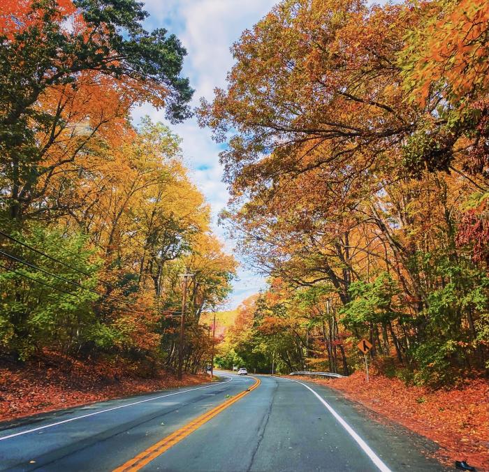 Fall Foliage