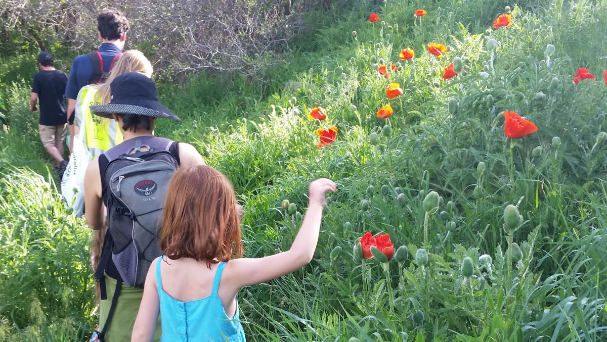 Family hiking among wildflowers on the McClintock Trail Meadow Music