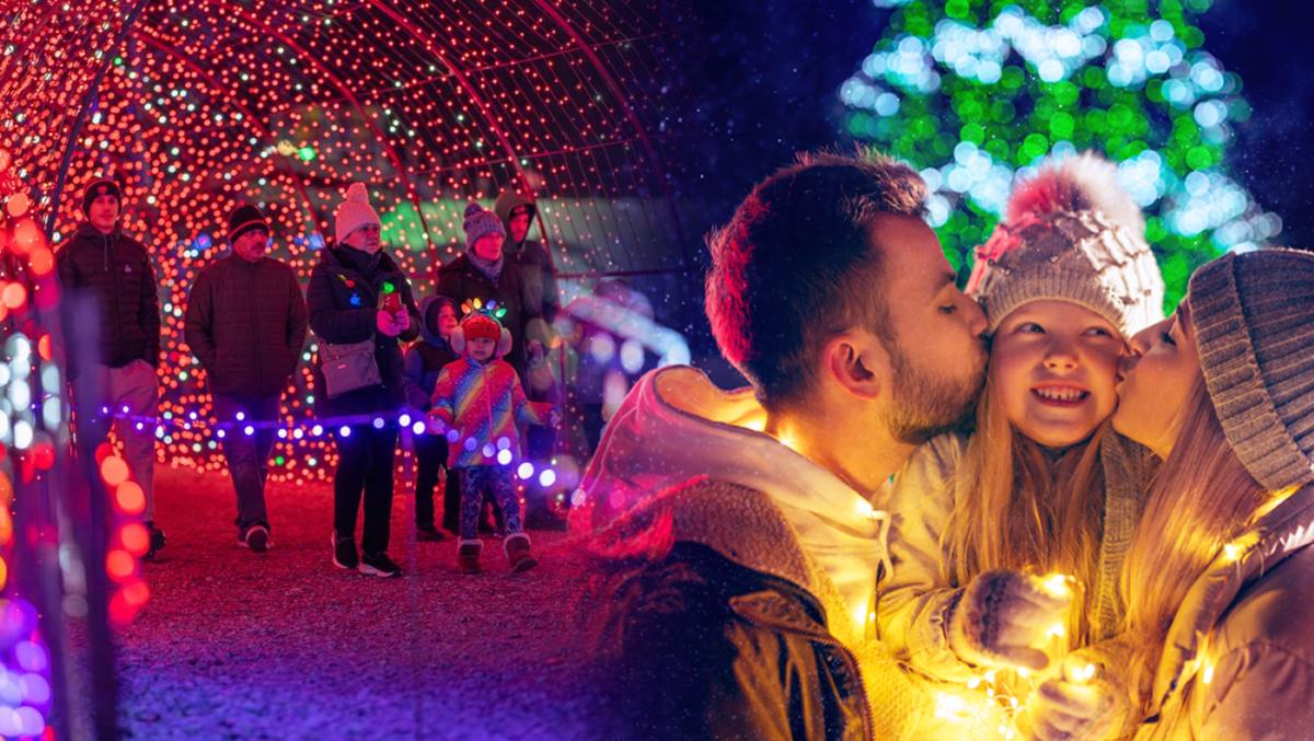 Christmas Tyme - Harvest Tyme Farmily Farm