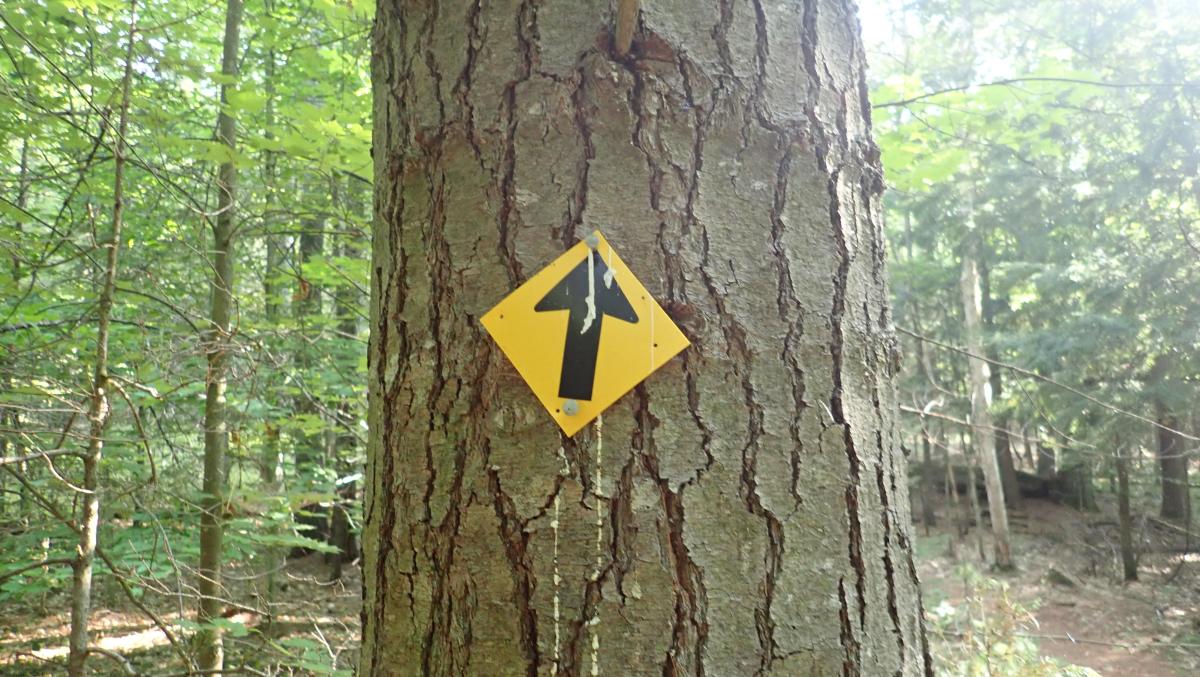 Trail Marker