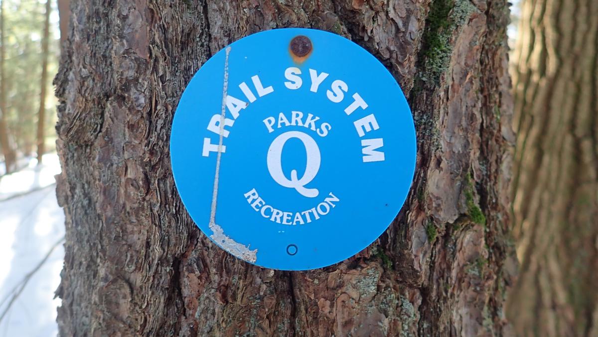 Blue Gurney Lane trail marker in winter