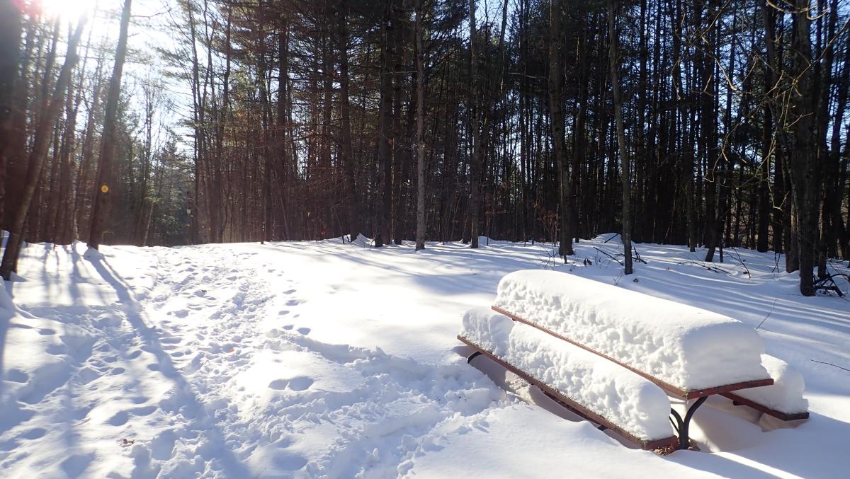 Picnic table on the yellow trail at Gurney Lane covered in snow