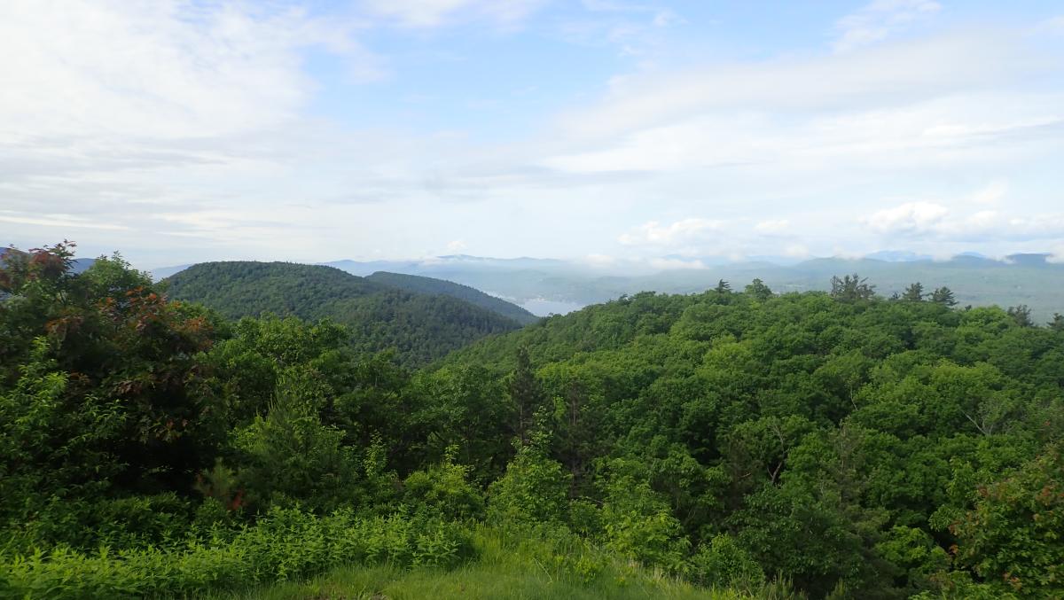 Fifth Peak