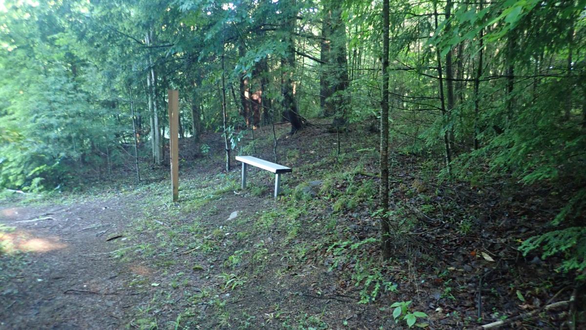 Cougar Nature Trails