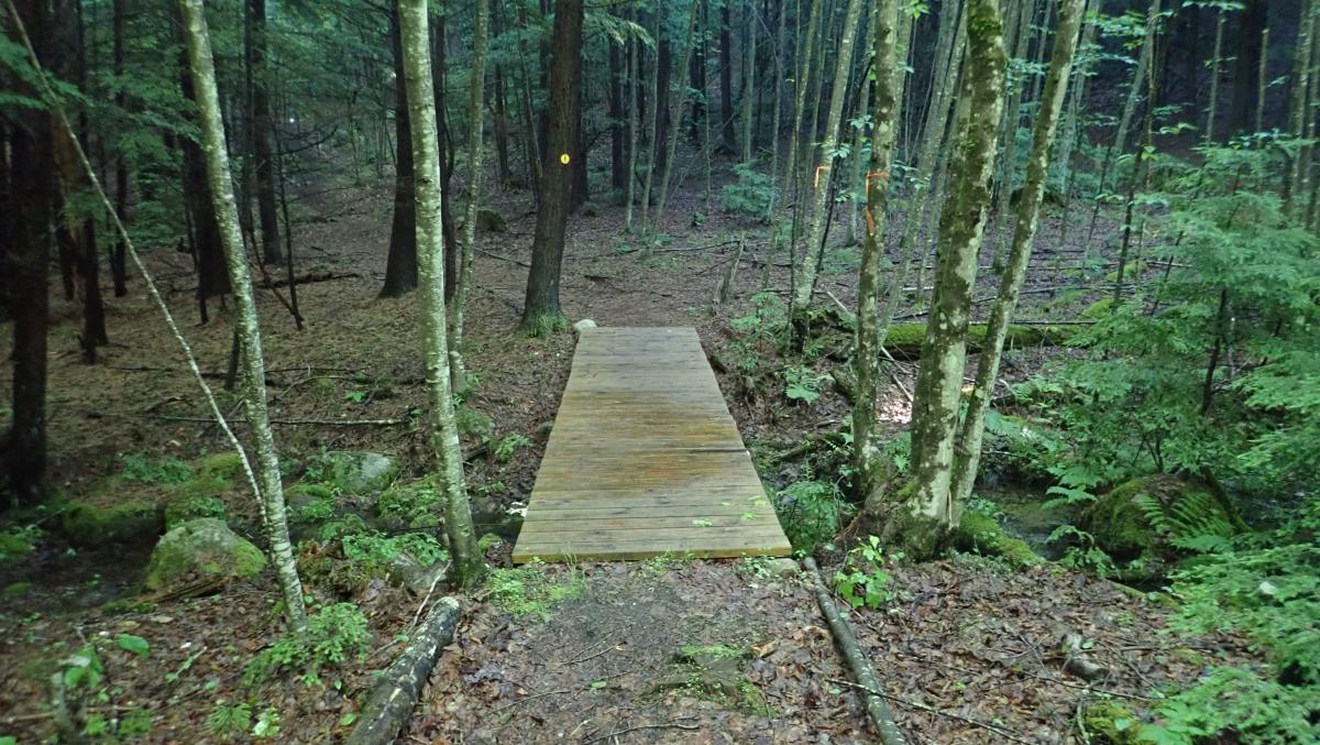 Cougar Nature Trails
