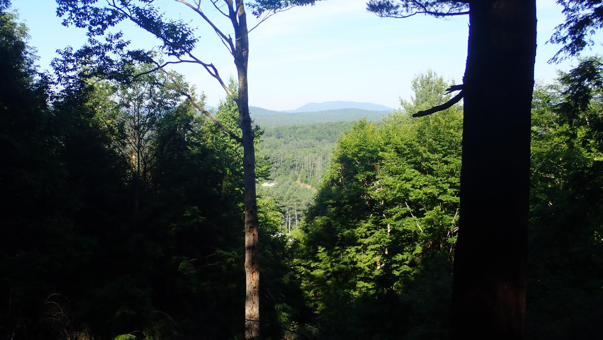 Cougar Nature Trail