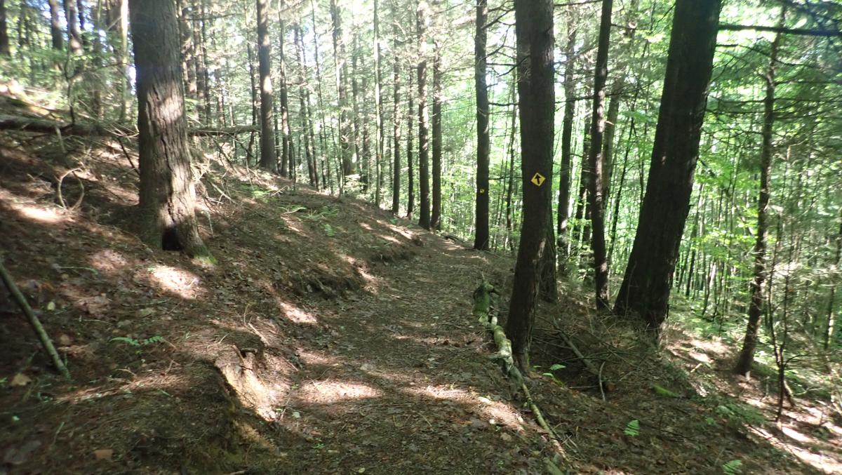 Cougar Nature Trails