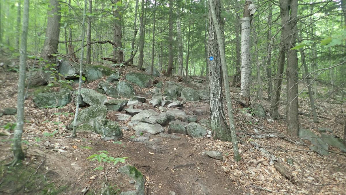 Blue trail on Cat Mountain