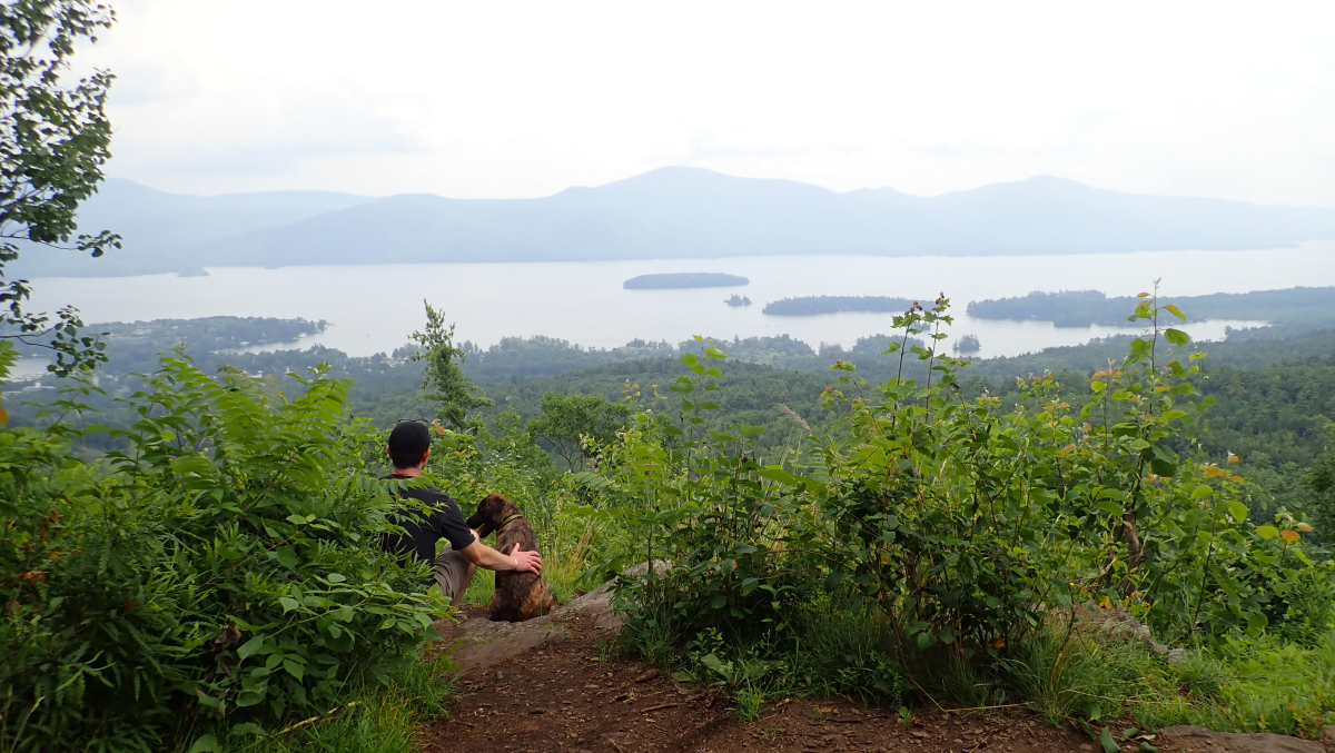 view