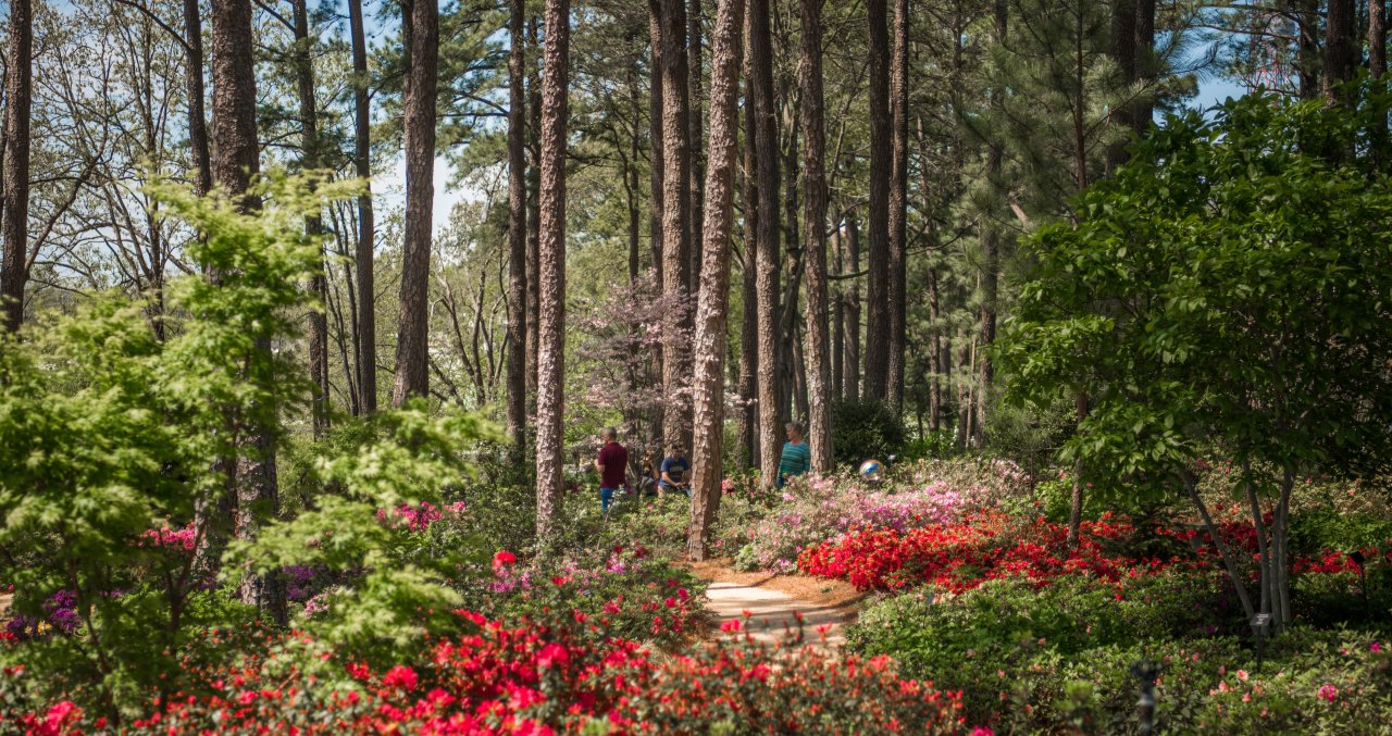 Celebrate Spring! 15 Gardens and Parks to Explore in Raleigh, N.C.